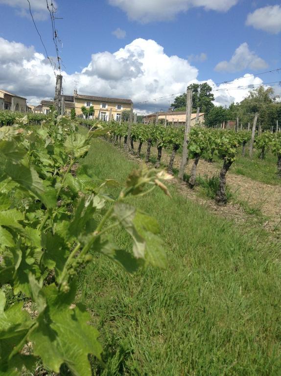 Chateau Nardou Hotel Saint-Sulpice-et-Cameyrac Esterno foto