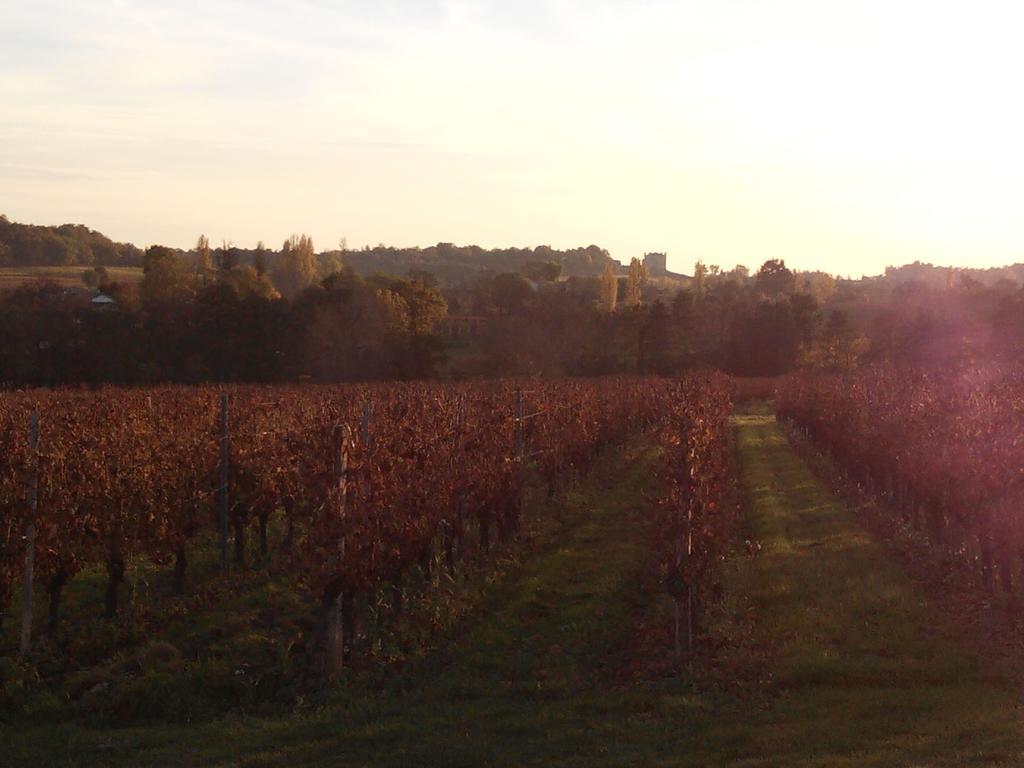 Chateau Nardou Hotel Saint-Sulpice-et-Cameyrac Esterno foto